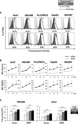 Tyrosine Kinase Inhibitors Stimulate HLA Class I Expression by Augmenting the IFNγ/STAT1 Signaling in Hepatocellular Carcinoma Cells